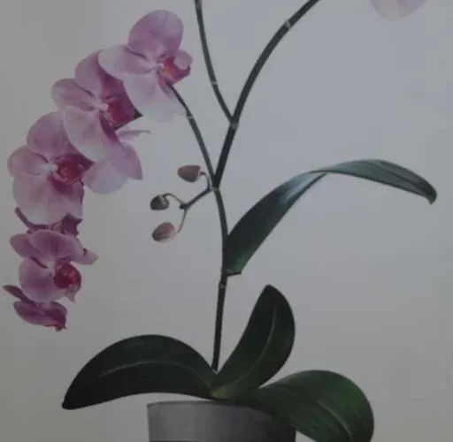 Bel F2 Gare Sur Place Lejlighed Nogent-l'Artaud